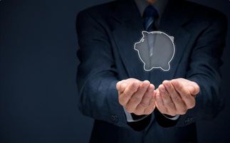 魚(yú)貓金服 金融服務(wù)全解析，讓財(cái)富管理觸手可及